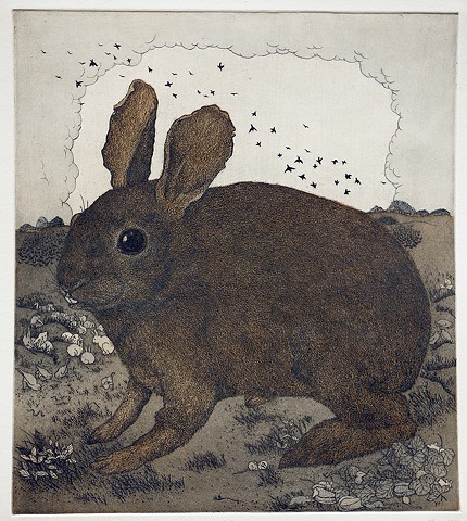 Etching and aquatint hare