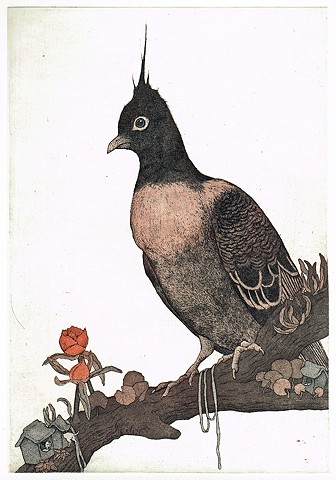 Etching and aquatint, animal, bird, pigeon