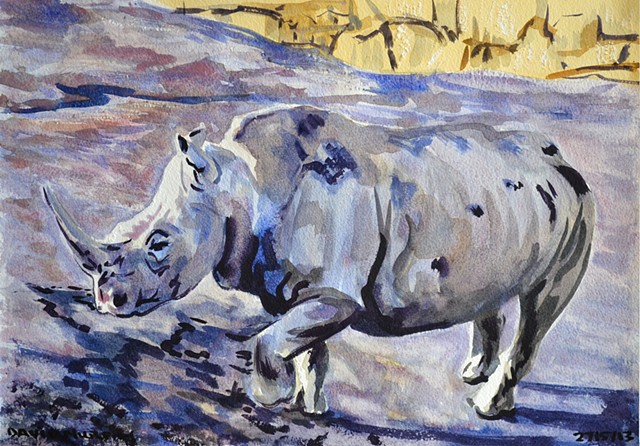 Rhinoceros,  watercolour, realist, david murphy