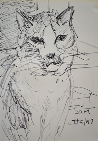 Sam No.1, Notebook No. 27, cat, david murphy, ireland