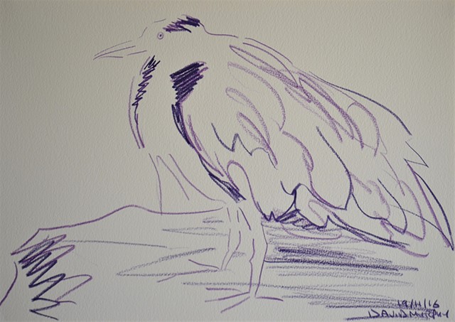 Bird No. 2, drawing, indian ink, David Murphy, Ireland, Irish, dublin