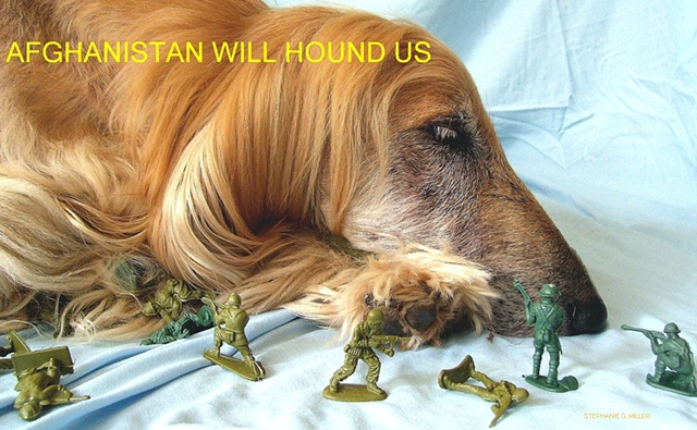 AFGHANISTAN WILL HOUND US. IT'S GOING TO BE WOOF, VERY WOOF.
