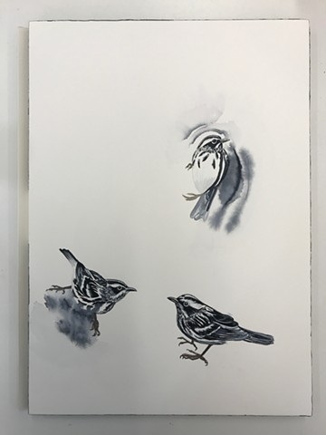 Process picture of my Black and White Warbler painting during my Penland School of Craft Winter Residency 2019