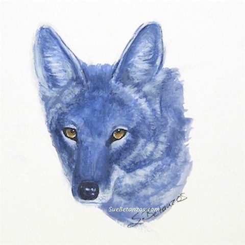 sue betanzos, Blue Coyote acrylic painting, coyote folktale, blue coyote, southwest nature, folklore, native american folklore, wildlife art, coyote art