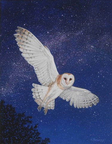 starry night, barn owl, raptors, owls, owl art, owl print, barn owl art, barn owl print, sue betanzos
