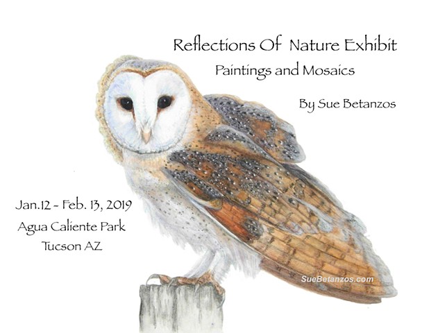 Reflections Of Nature Exhibit, Paintings and Mosaics
