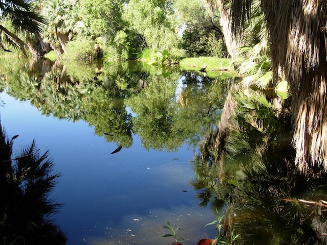 Reflections of Nature Art Exhibit, Agua Caliente Park