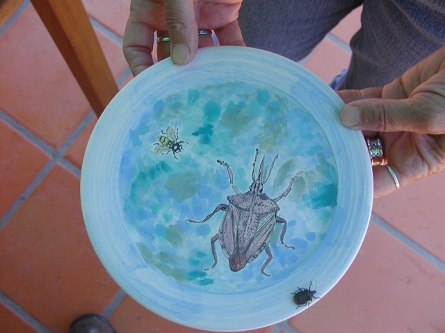 bug plate