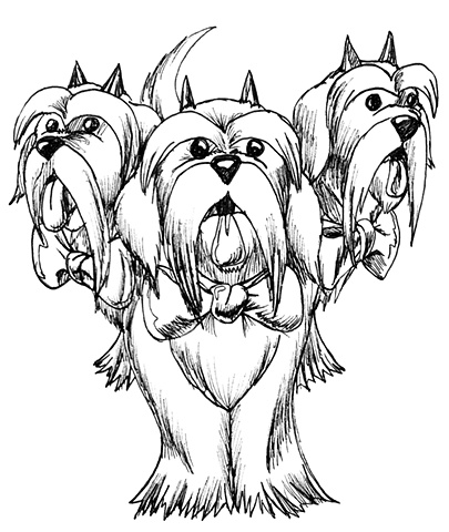 Three- Headed Hell Shih Tzu. Card Artwork. Monster Type: He guards the Gates to the UnderWorld... and he looks ADORABLE!