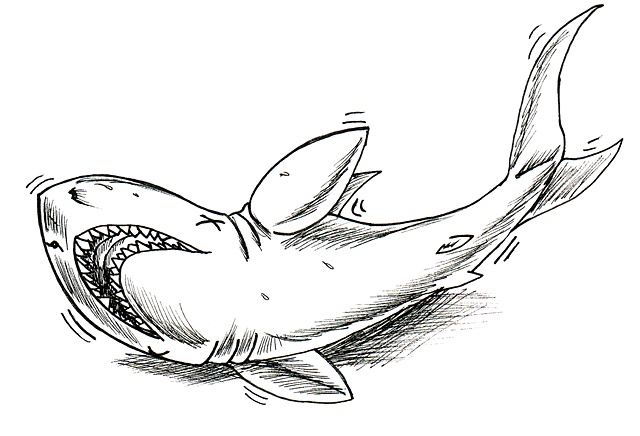 Land Shark. Card Artwork. Monster Type: The deadliest predator of the sea... is now ON LAND!