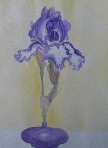 Pale Purple Iris