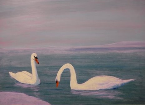 Two Swans a Swimming