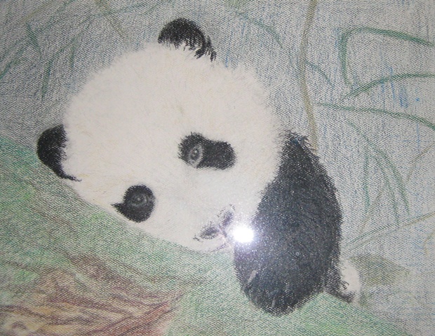 Sleepy Panda