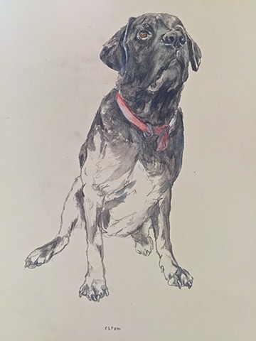 Atlanta Pet Portraits Dog Art by Katherine Bell McClure