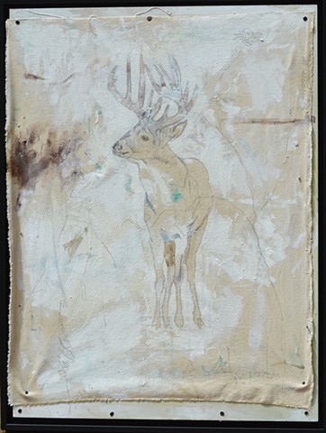 Original Deer Buck Animal Art by Artist Katherine Bell McClure
