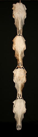 This is a modern contemporary mixed media sculpture of a column of suspended cow skulls by Denis A. Yanashot 