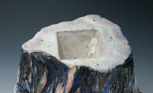 Blue Stump (Detail)