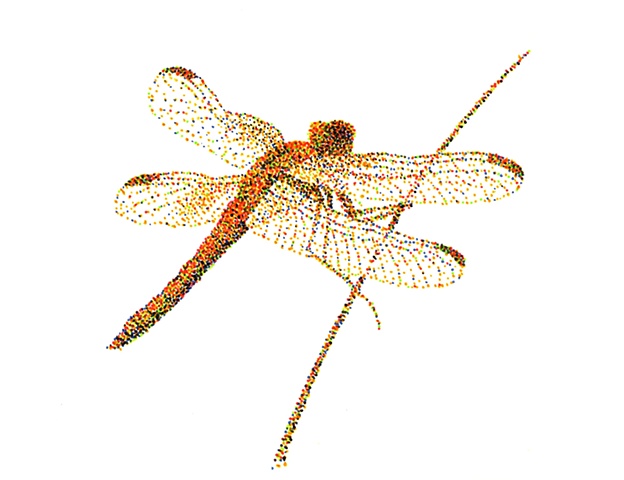 Dragonfly 7
