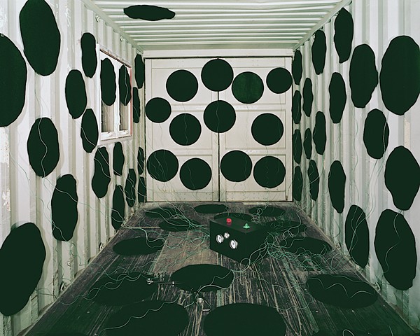 Searching for a Portal (backyard shed)