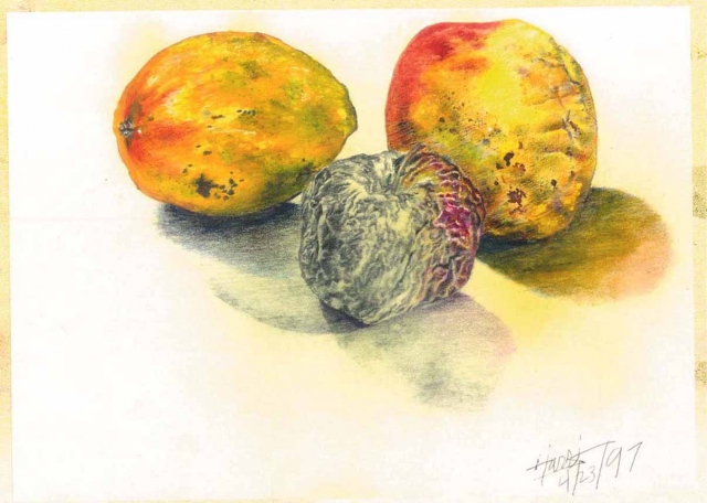 An Apple & 2 Mangoes