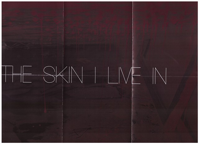 The Skin I live In, Kavi Gupta Gallery, Berlin 2013