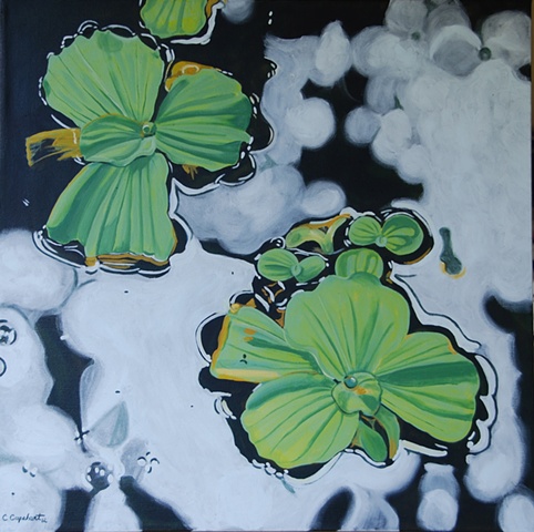 Lake Alice Water Lettuce painting by Cindy Capehart, Gainesville, Florida