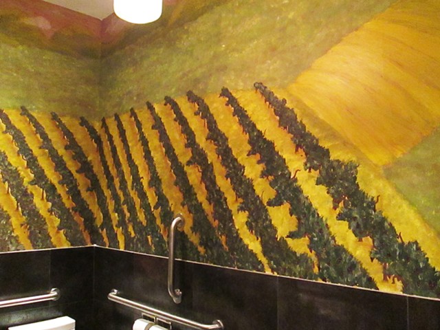 Panorama of a wine vineyard