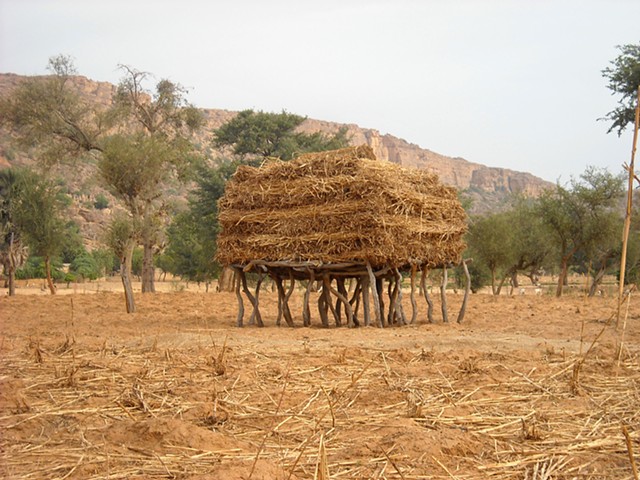 Hay Bales Dogon Country