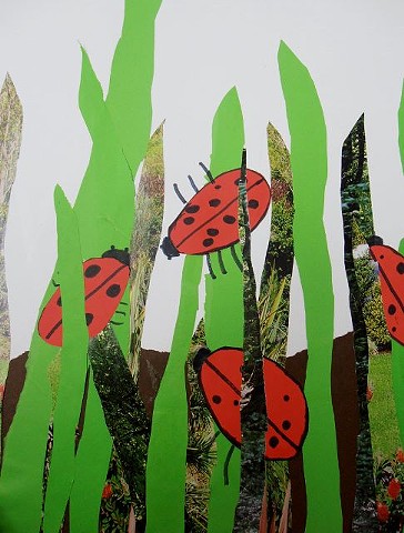 Ladybugs Collage