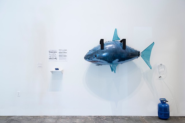 A-Shark-Rots-From-the-Head-Down - Interactive (Installation View)