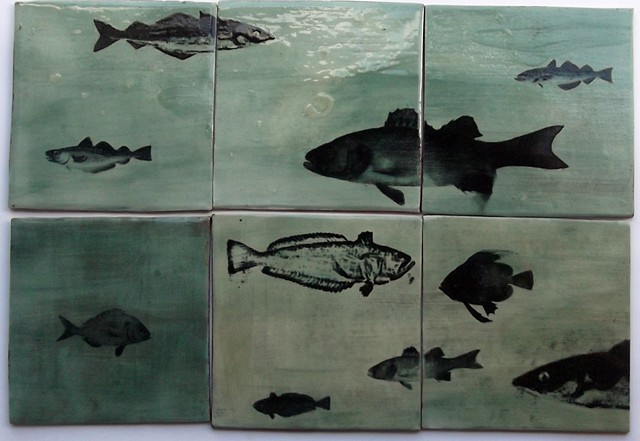Aquarium tiles, £12 each