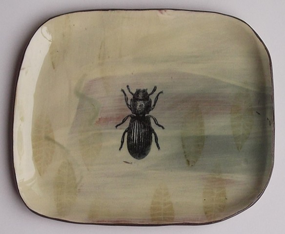88. beetle plate with leaves