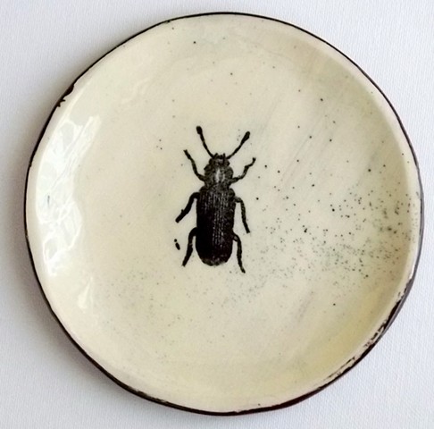 896. Bug