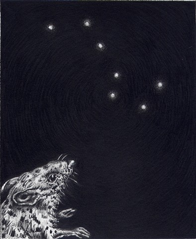 Mouse and the Big Dipper