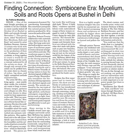 Mountain Eagle: Symbiocene Era by Patricia Wadsley