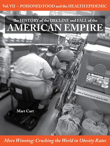 The History of the Decline and Fall of the American Empire VII