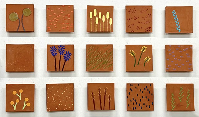 Desert Flowers