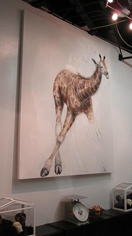 giraffe drawing, giraffe painting, animal art, cellar door chocolates, baby giraffe