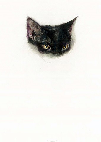 cat, drawing, contemporary realism, black cat drawing, black cat
