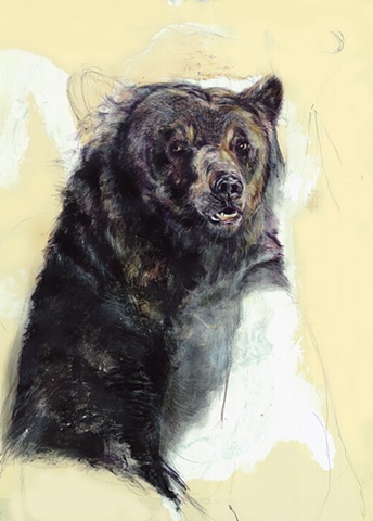 bear, drawing, contemporary, realism, nature, existential