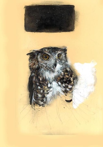 owl contemporary realism drawing
