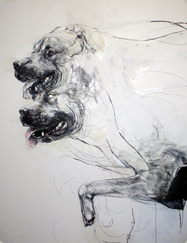 dog, drawing, contemporary, absurd, detailed, graphic