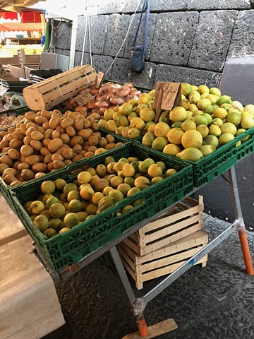 at 7.05am: getting the lemons