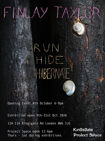 Run Hide Hibernate