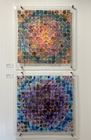 Lisa Nelson Raabe