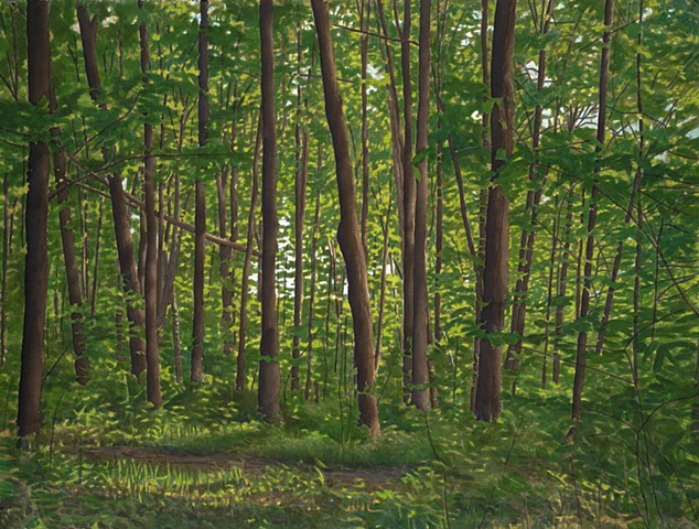 landscape watercolor of Vermont maple forest