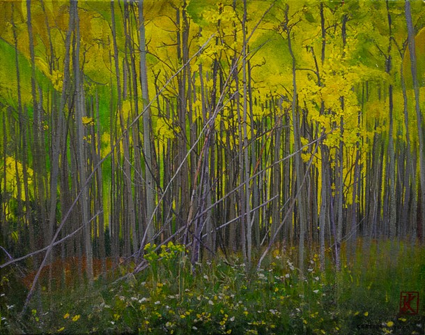 Young Aspens in Fall
