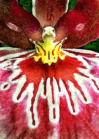 Orchidaceous Dragon