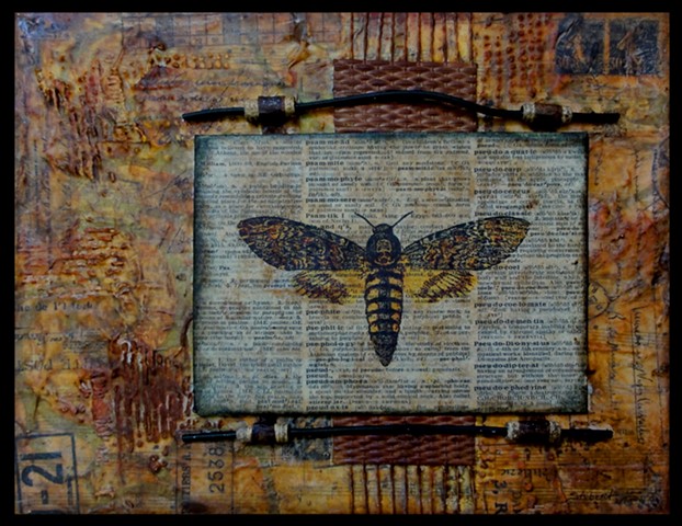 Mixed Media, patagonia, ventura, recycled, fluid, assemblage, collage, ink, botanical, textile, eco printing