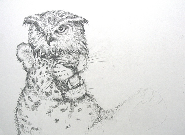 An Owl is a Leopard's Combover 